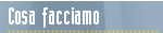 Pineapple :: Cosa facciamo