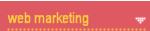 Pineapple :: Web marketing